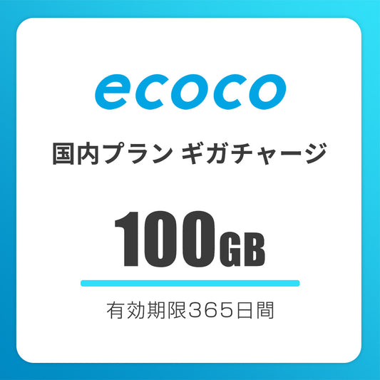 【国内】おかわりギガ 有効期限365日間