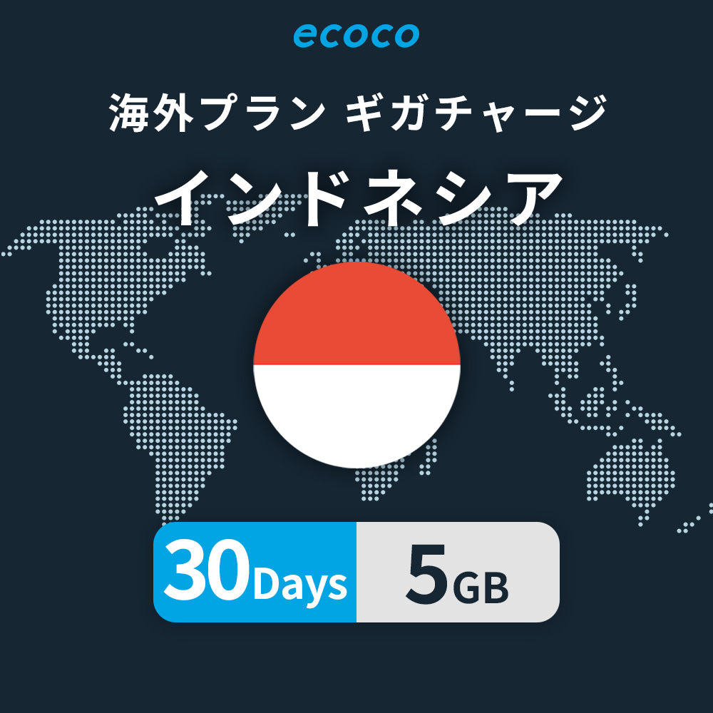 インドネシアおかわりギガ
