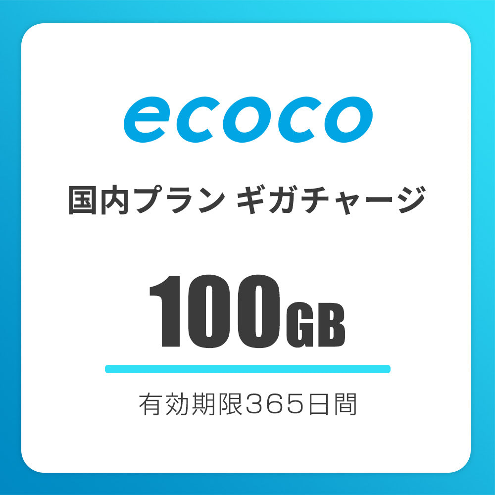 【国内】おかわりギガ　有効期限365日間