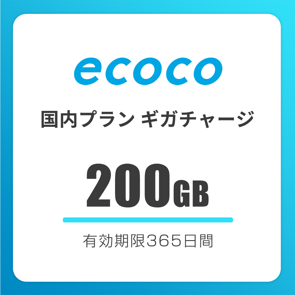 【国内】おかわりギガ　有効期限365日間