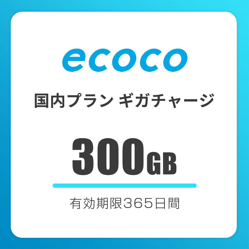 【国内】おかわりギガ　有効期限365日間