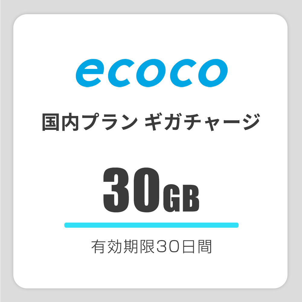 【国内】おかわりギガ　有効期限30日間