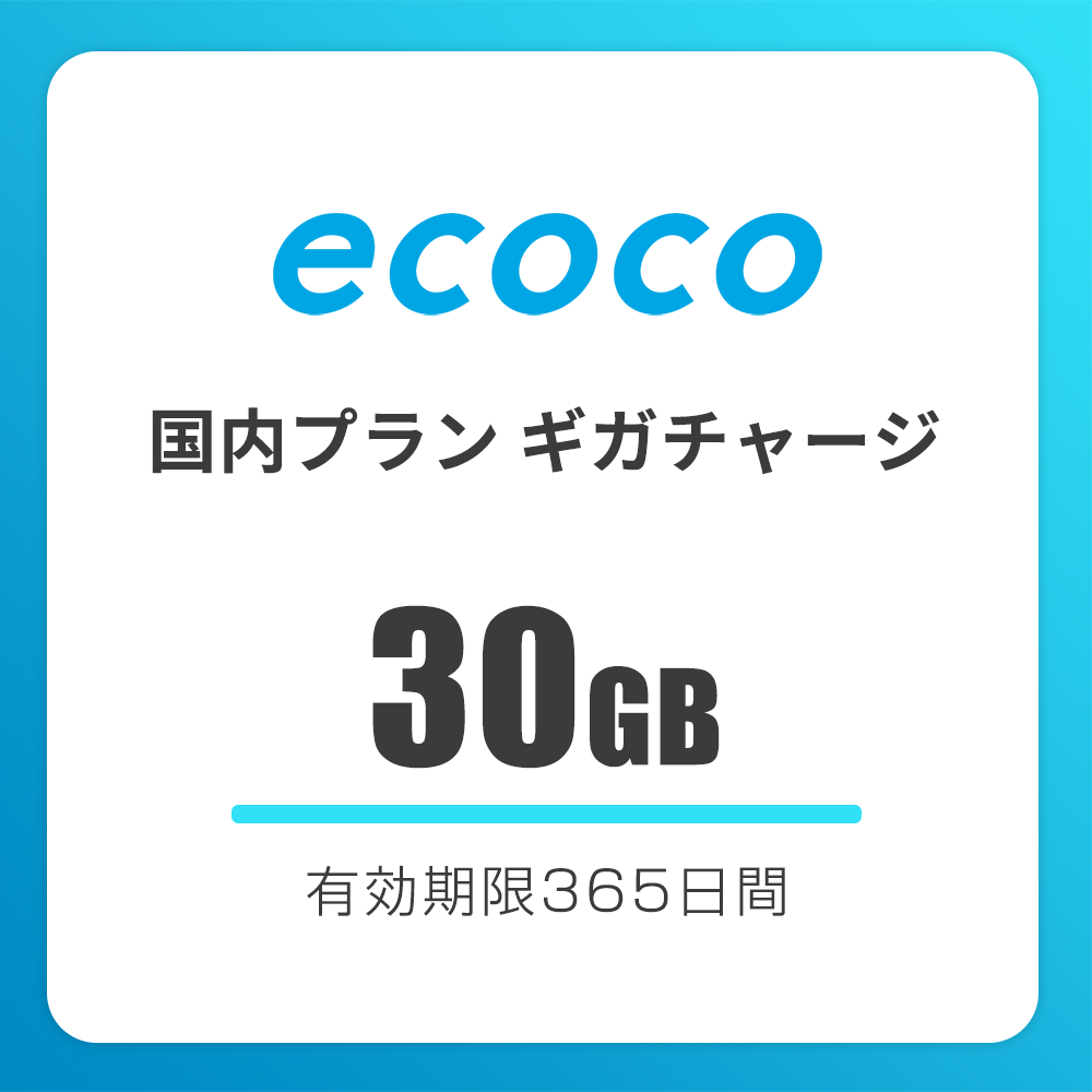 【国内】おかわりギガ　有効期限365日間