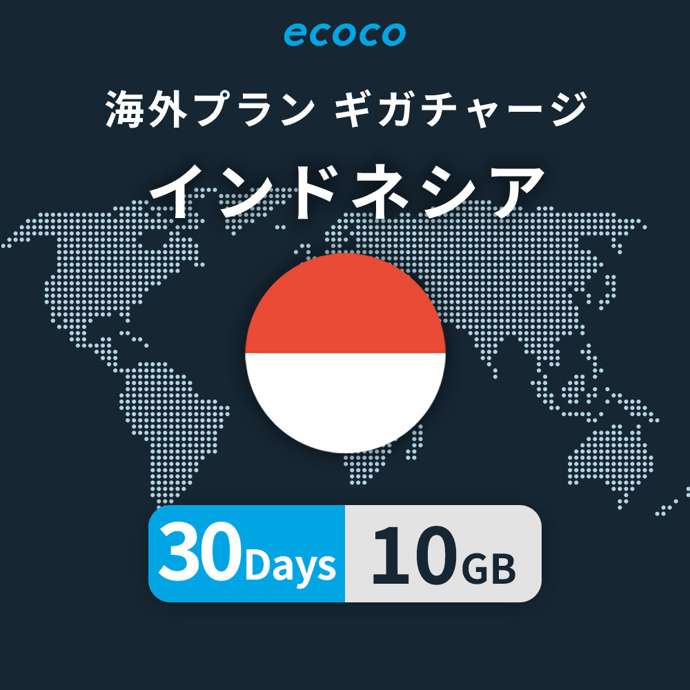 インドネシアおかわりギガ