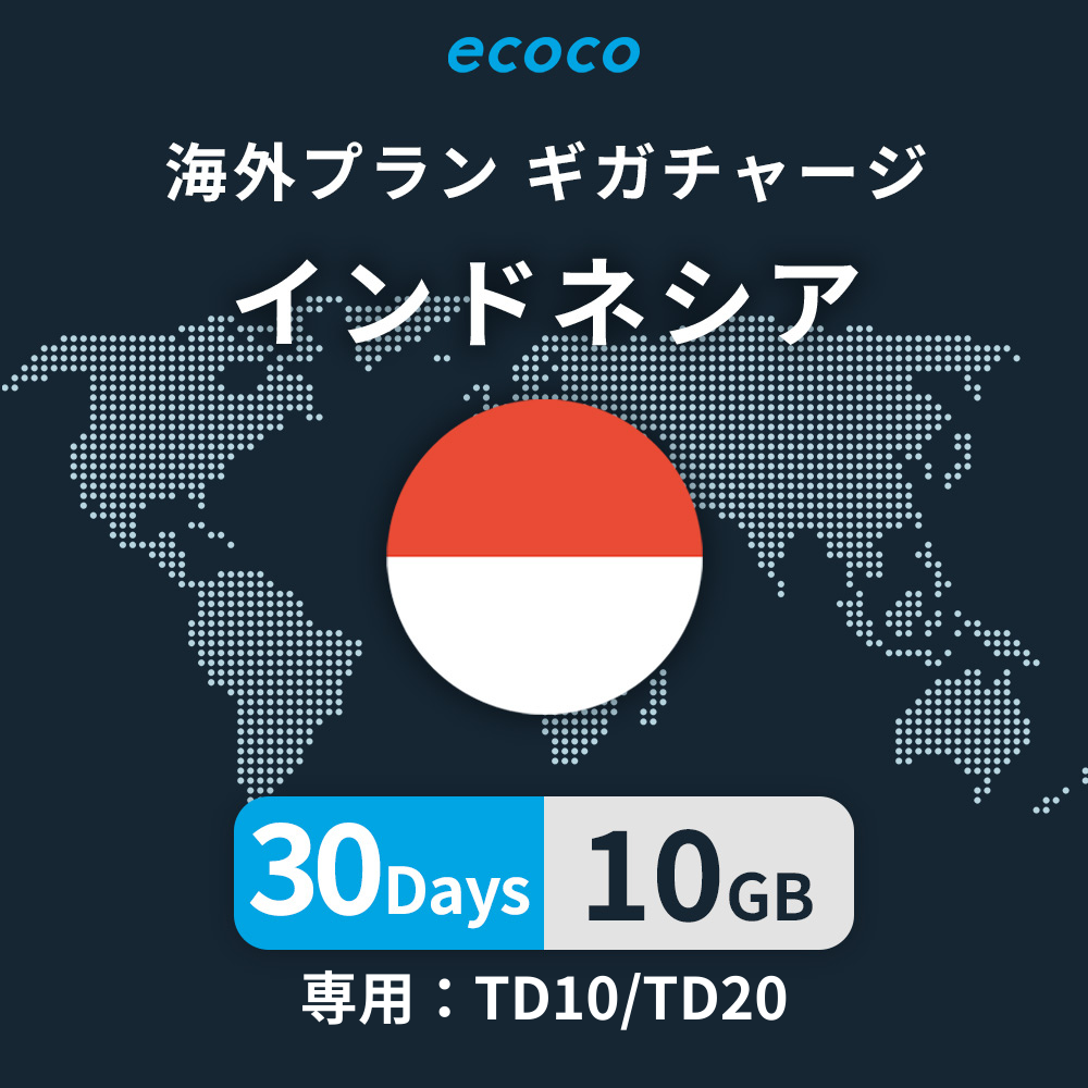 インドネシアおかわりギガ