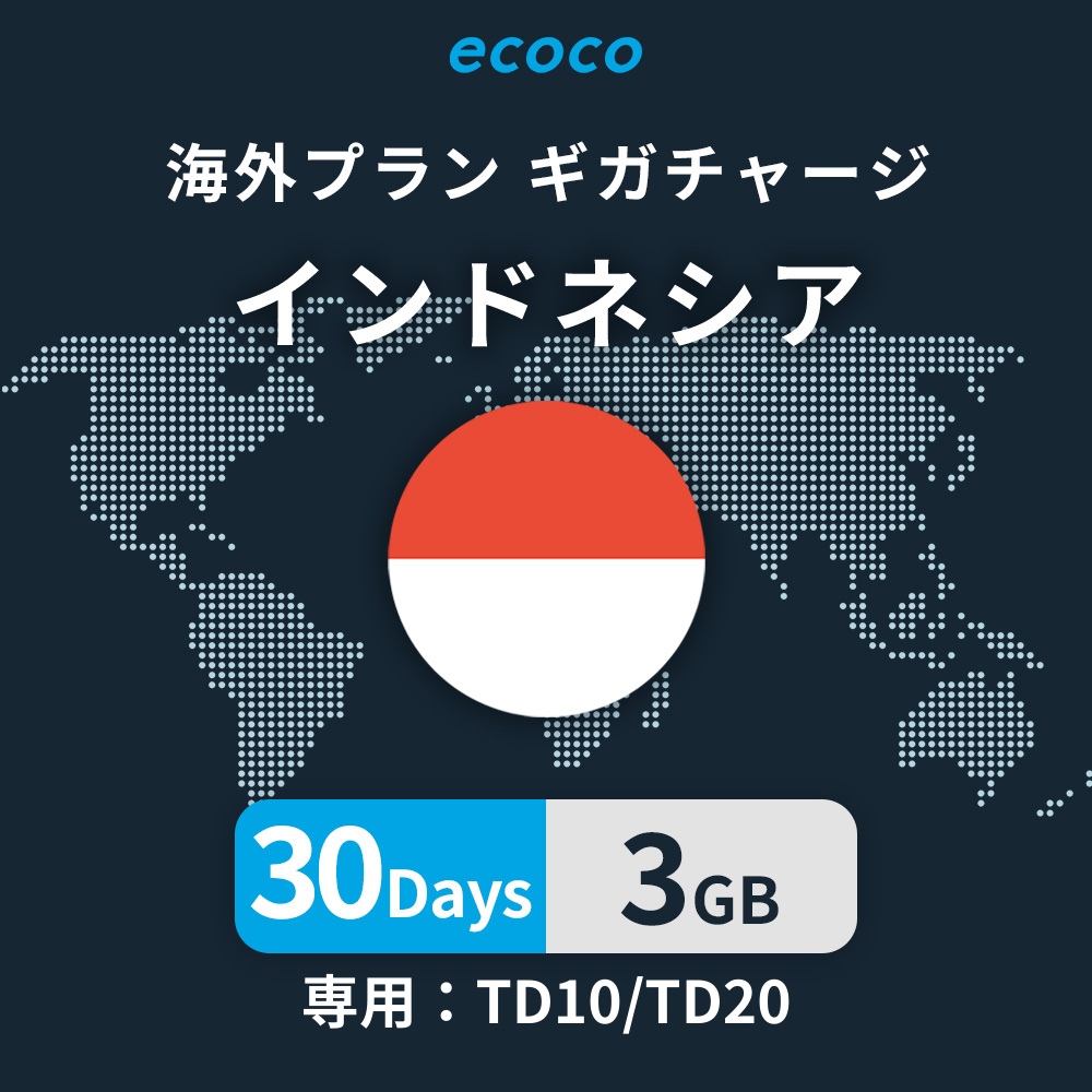 インドネシアおかわりギガ