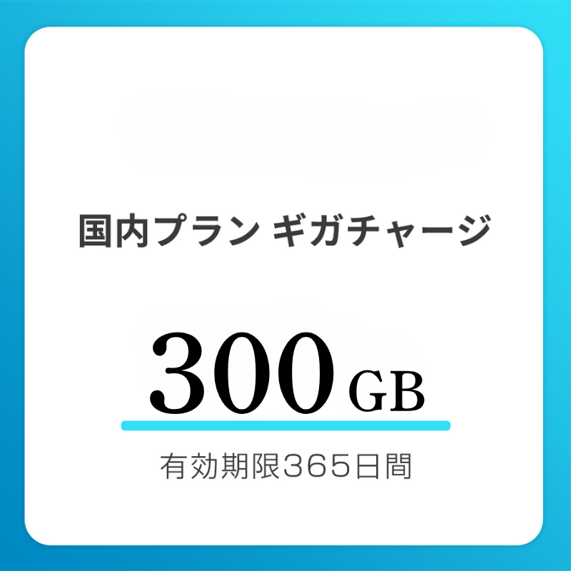 【法人用】国内おかわりギガ　有効期限365日間