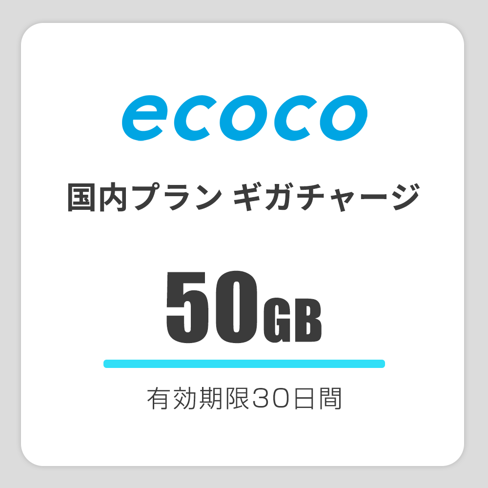 【国内】おかわりギガ　有効期限30日間