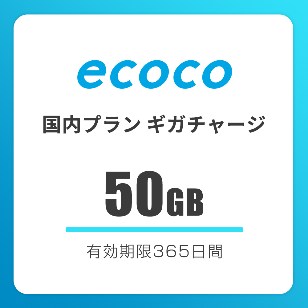 【国内】おかわりギガ　有効期限365日間