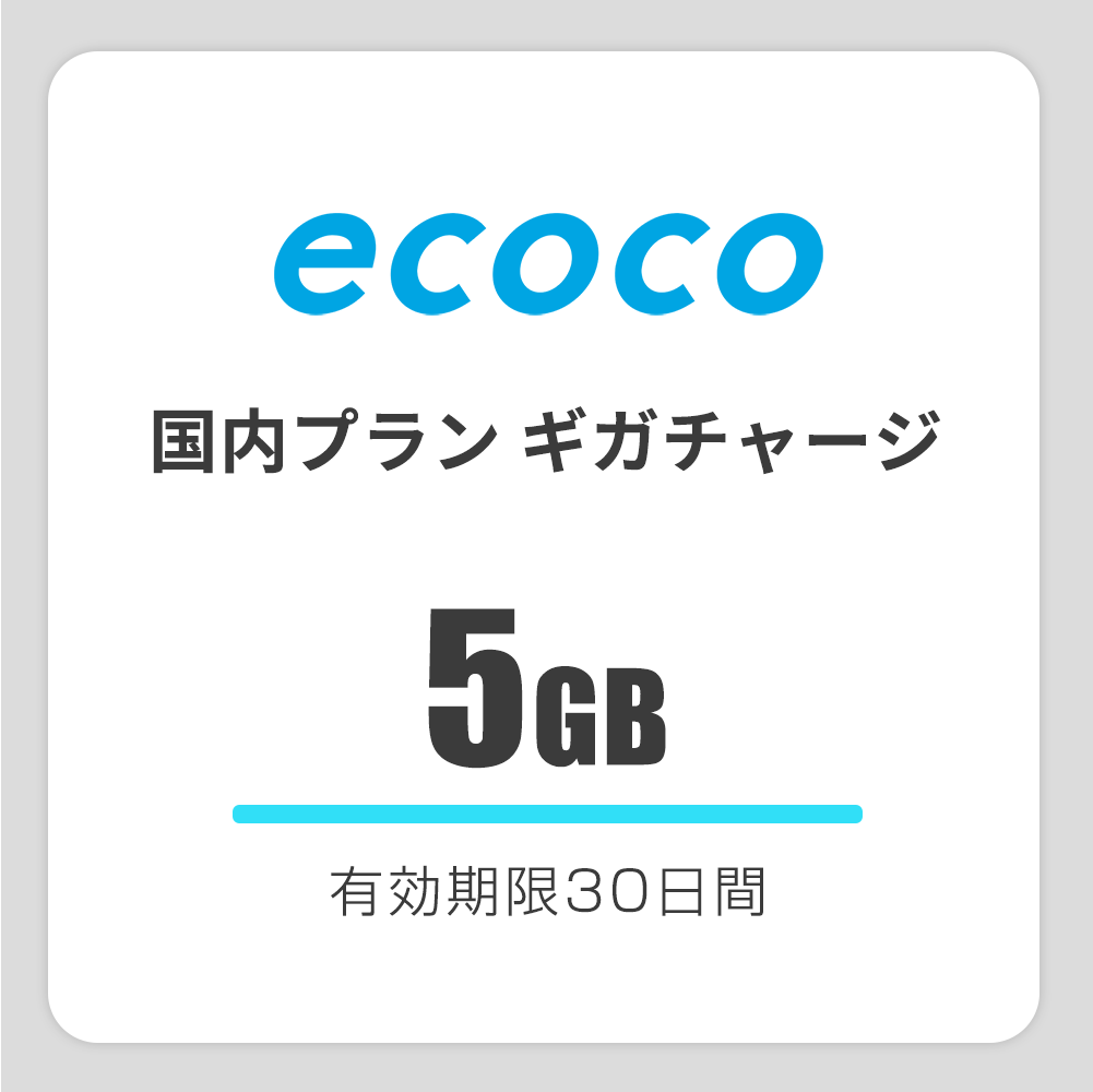 【国内】おかわりギガ　有効期限30日間