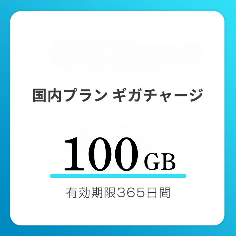 【法人用】国内おかわりギガ　有効期限365日間
