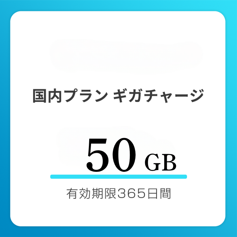 【法人用】国内おかわりギガ　有効期限365日間