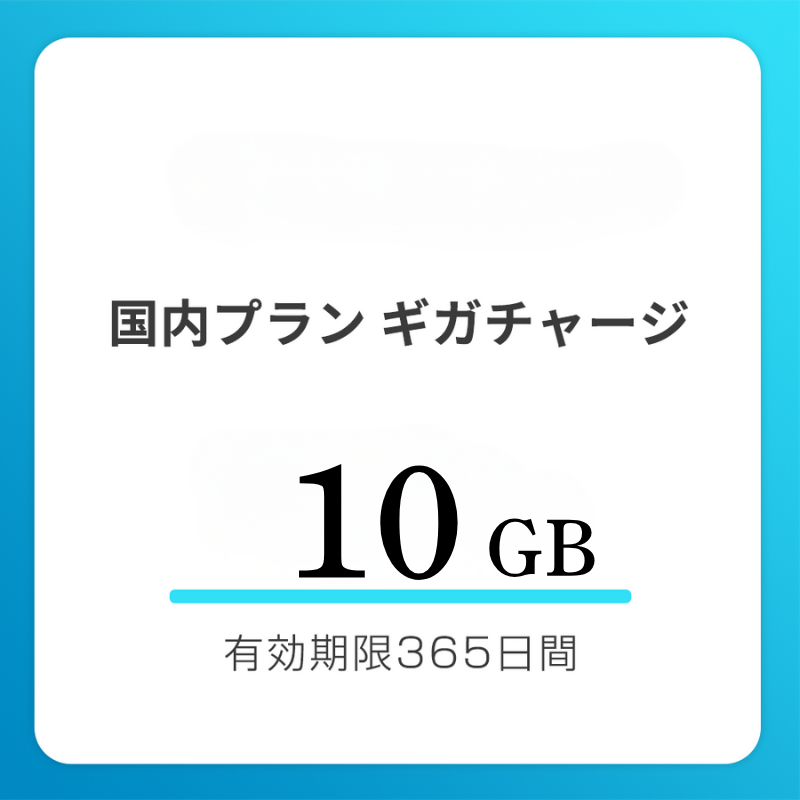 【法人用】国内おかわりギガ　有効期限365日間