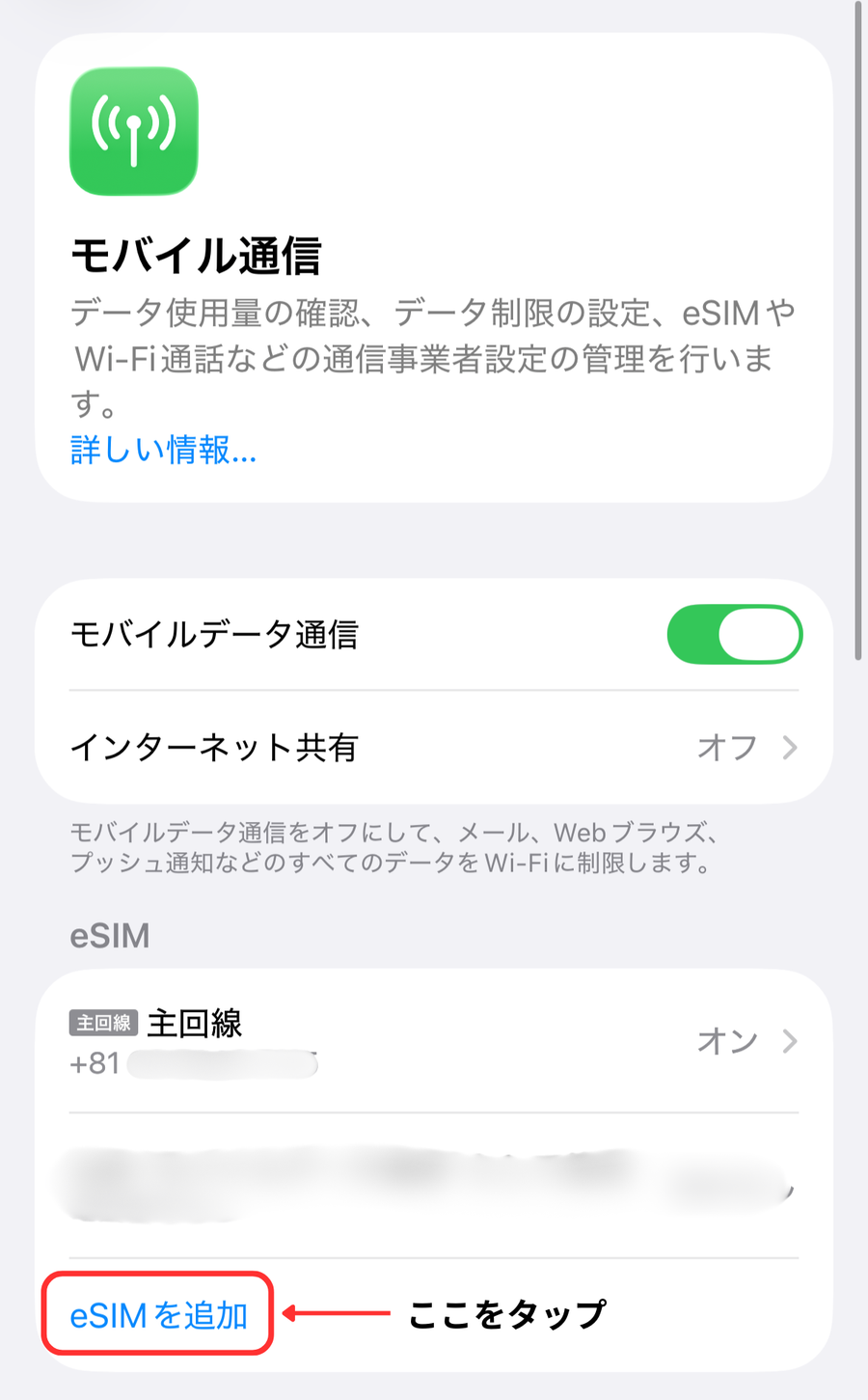 eSIMを追加